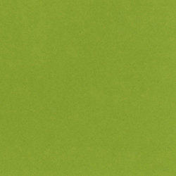 バジル CARD SHOPPE