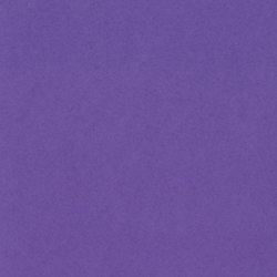 バジル CARD SHOPPE