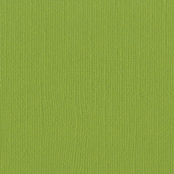 バジル カードストック