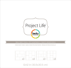プロジェクトライフ アルバムポケットページ
