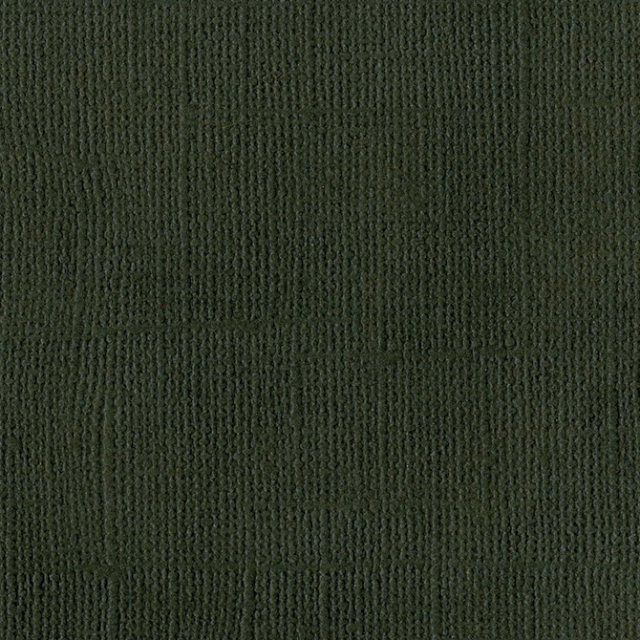 バジル/Bazzill Basics】カードストック[Mono] - Cinder (T10-1077)