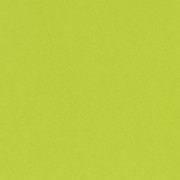 バジル CARD SHOPPE