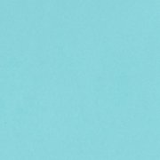 バジル CARD SHOPPE