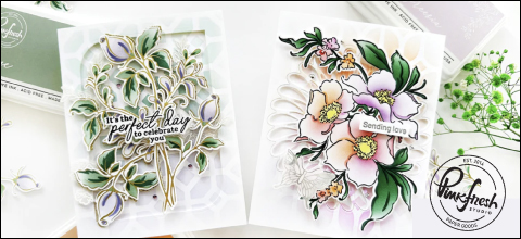 ピンクフレッシュスタジオ