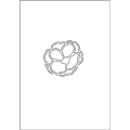 フローラ＆フォーナ Large Outline Flower