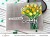 アルテニュー Timeless Tulips Simple Coloring Stencil Set (3 in 1)