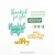 コンコード＆ナインス Simple Sayings