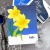 ヒーローアーツ Daffodil