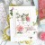 ピンクフレッシュスタジオ Dahlia