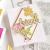 ピンクフレッシュスタジオ Chrysanthemum