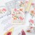 ピンクフレッシュスタジオ Chrysanthemum