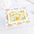 ピンクフレッシュスタジオ Mixed Blooms