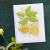 スペルバインダーズ Lemon Zest