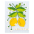スペルバインダーズ Lemon Zest