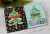 テイラードエクスプレッション O Christmas Tree