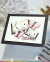 ワッフルフラワー Open Book Trio Butterfly