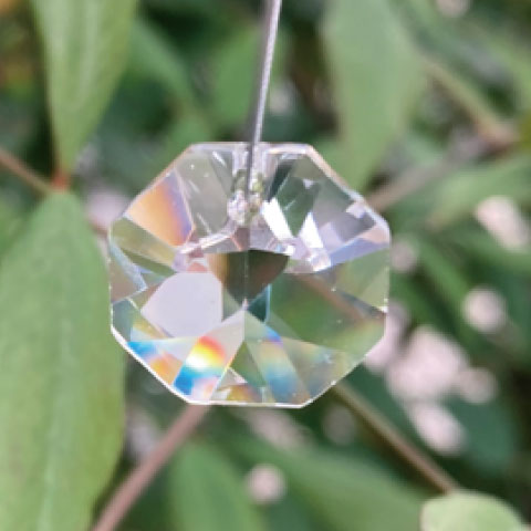 数量制限あり]プレシオサ#2636 MC 14mm MCオクタゴン（1穴  