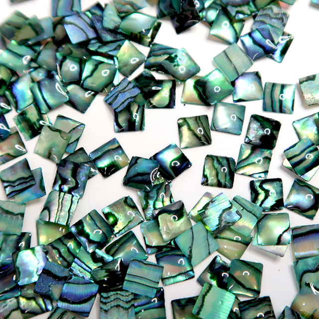 天然シェルパーツ