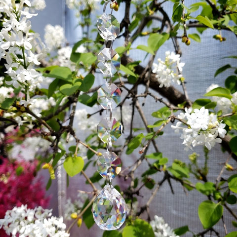 サンキャッチャー