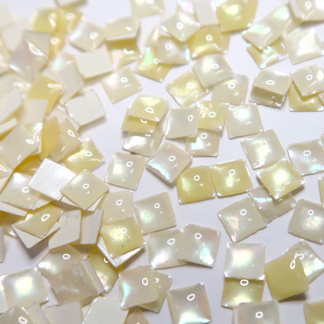 天然シェルパーツ