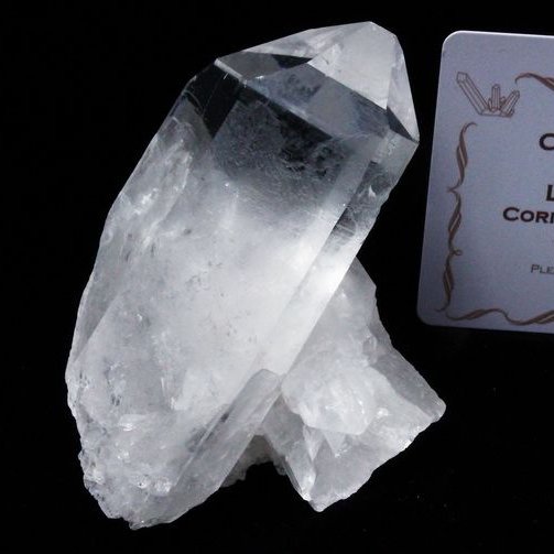 レムリアンシード 六角柱入 水晶 クラスター ミナスジェライス州コリント産 ※証明書付き[T143-2075]