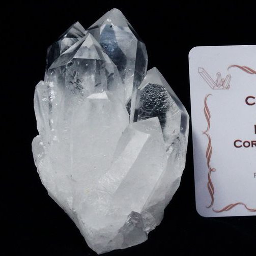 レムリアンシード カテドラルライブラリー 水晶クラスター ミナスジェライス州コリント産 ※証明書付き[T143-2081]