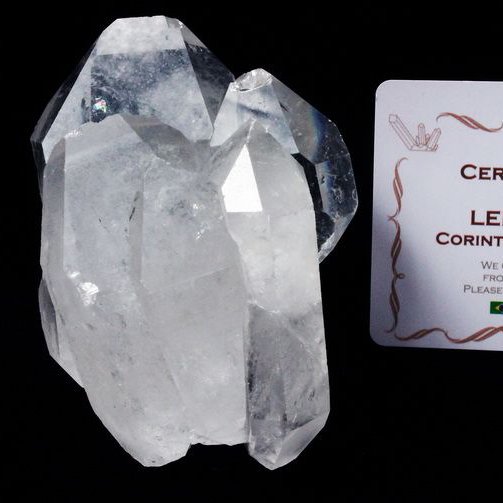 レムリアンシード カテドラルライブラリー 水晶クラスター ミナスジェライス州コリント産 ※証明書付き[T143-2083]