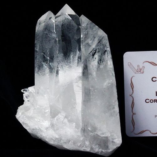 レムリアンシード ダブルポイント水晶 クラスター ミナスジェライス州コリント産 ※証明書付き[T143-2095]