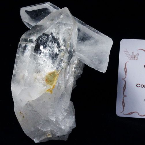 レムリアンシード ガーデン水晶クラスター ミナスジェライス州コリント産 ※証明書付き[T143-2096]