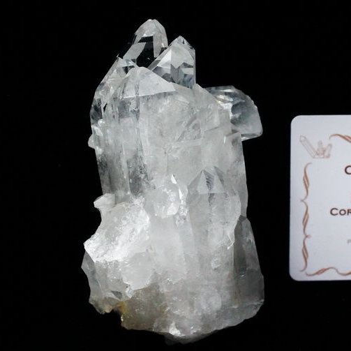 レムリアンシード 水晶 クラスター ミナスジェライス州コリント産  ※証明書付き[T143-2217]