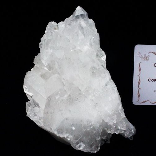 レムリアンシード カテドラルライブラリー 水晶クラスター ミナスジェライス州コリント産 ※証明書付き[T143-2419]