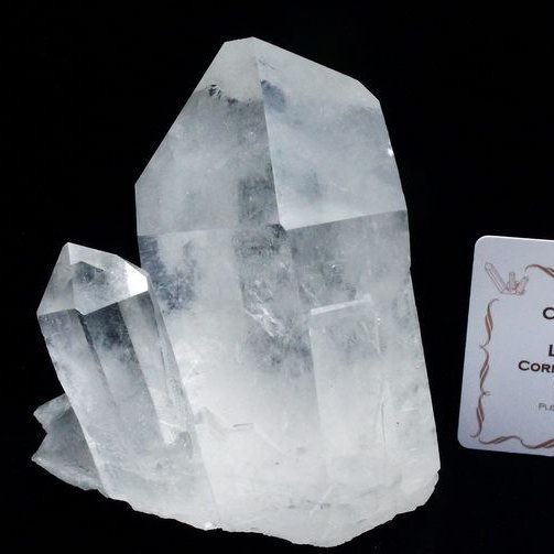 レムリアンシード 水晶 クラスター ミナスジェライス州コリント産  ※証明書付き[T143-2430]