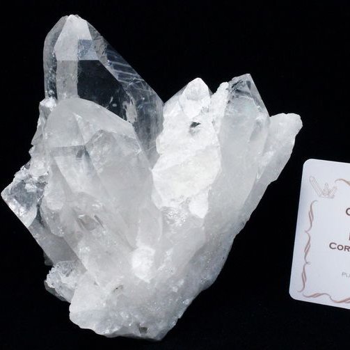 レムリアンシード 水晶 クラスター ミナスジェライス州コリント産  ※証明書付き[T143-2492]