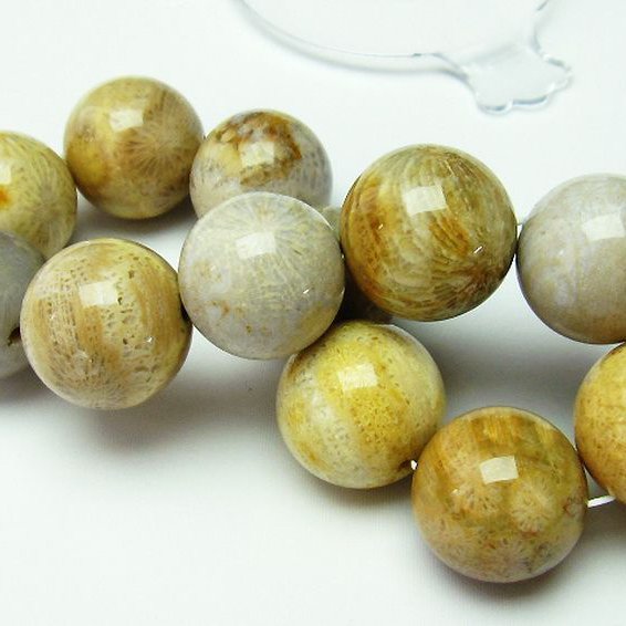 フォッシルコーラル ブレスレット  化石珊瑚 19mm [T155-1274]