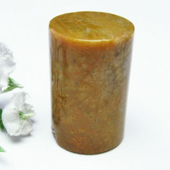 フォッシルコーラル 円柱形 タンブル（穴なし） 化石珊瑚[T155-1960]