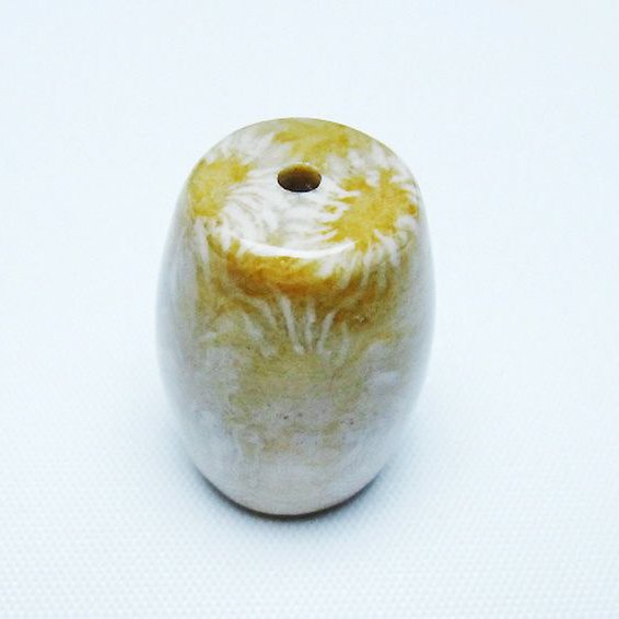 フォッシルコーラル 天珠 化石珊瑚[T155-2256]