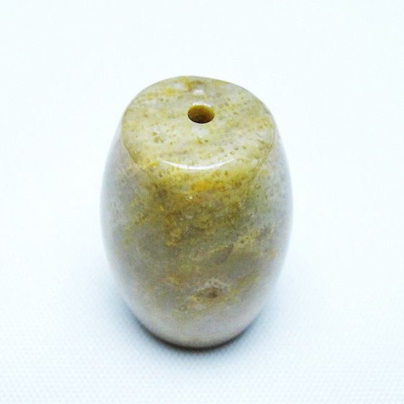 珊瑚風 フォッシルコーラル 天珠 化石珊瑚[t155-2262]