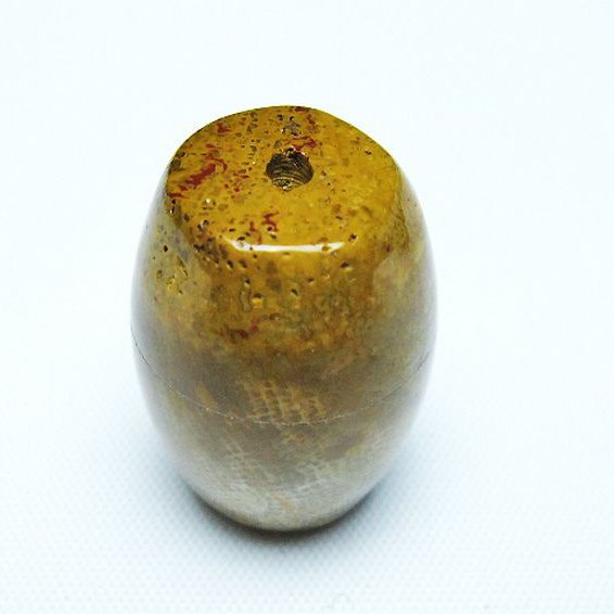 フォッシルコーラル 天珠 化石珊瑚[T155-2286]