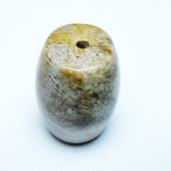 フォッシルコーラル 天珠 化石珊瑚[T155-2338]