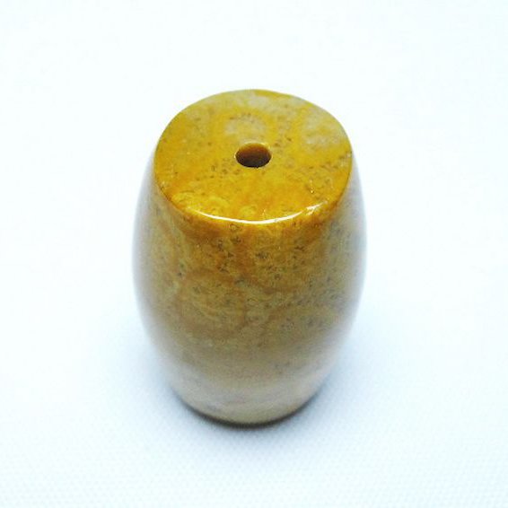 フォッシルコーラル 天珠 化石珊瑚[T155-2378]