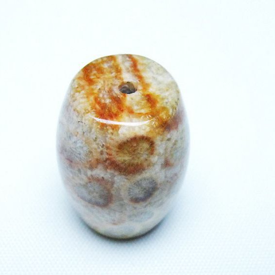 フォッシルコーラル 天珠 化石珊瑚[t155-2395]