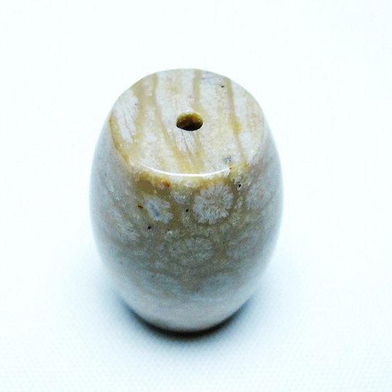 フォッシルコーラル 天珠 化石珊瑚[T155-2409]