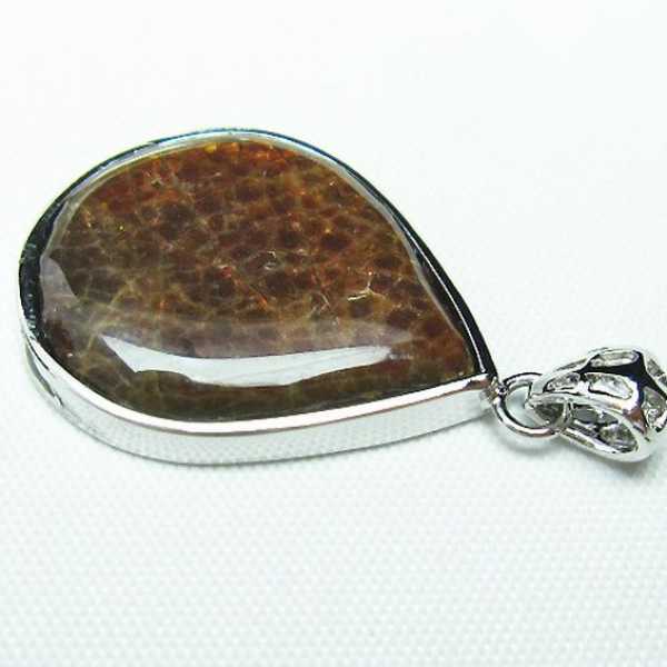 アンモライト ペンダント [T165-1204]