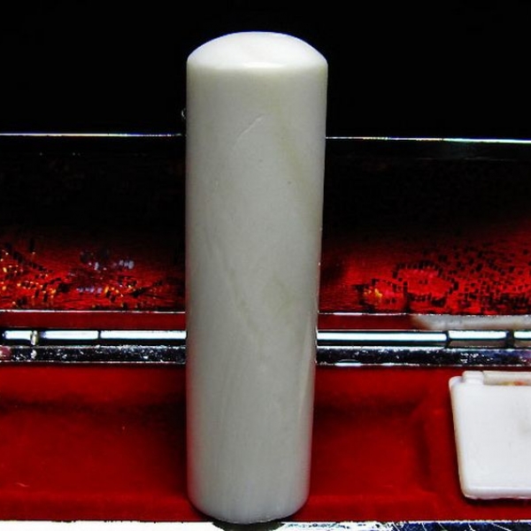 シャコガイ 印材 17mm [T203-127]