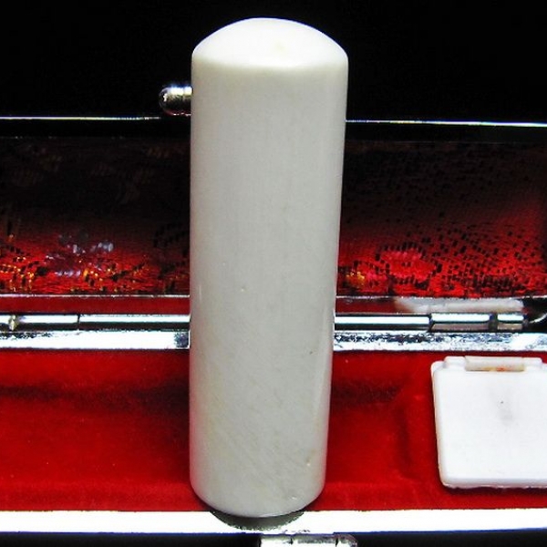 シャコガイ 印材 18mm [T203-247]