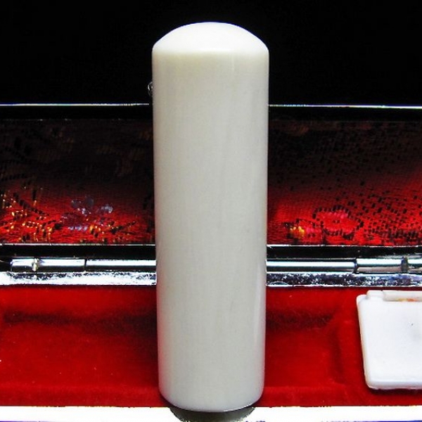 シャコガイ 印材 18mm [T203-251]