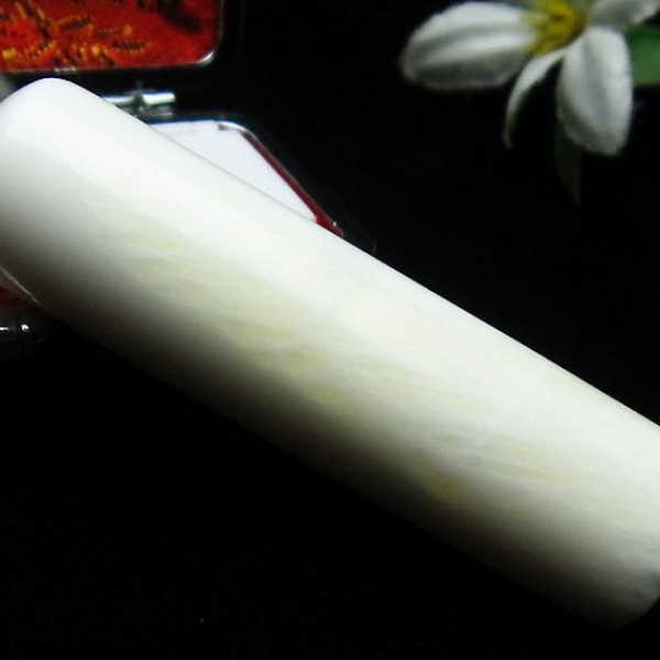 シャコガイ 印材 15mm [T203-91]