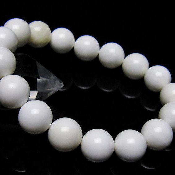 シャコガイ ブレスレット 12mm [t217-1564]