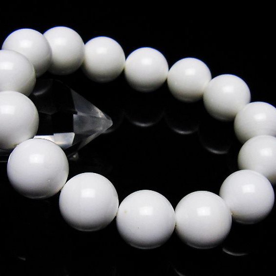 シャコガイ ブレスレット 14mm [t217-1571]