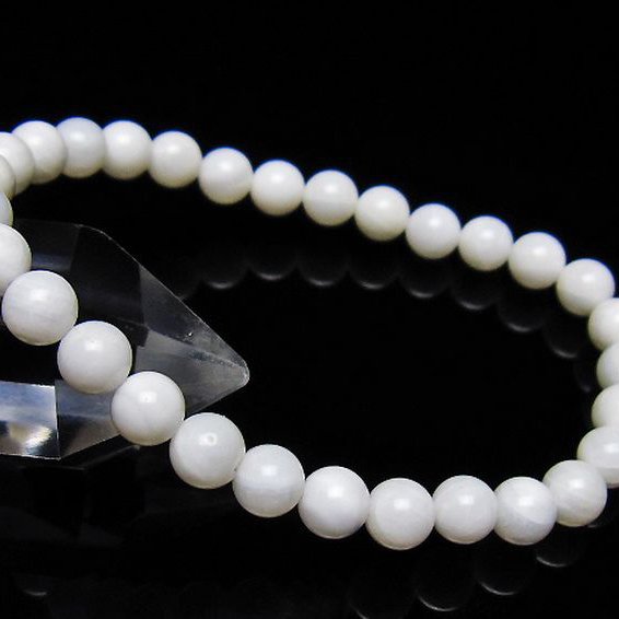 シャコガイ ブレスレット 6mm [t217-1611]